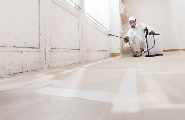 24/7 Emergency Mold Remediation experts in Fremont, MI