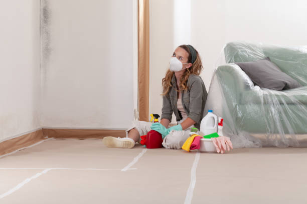Reliable Mold Remediation contractor in Fremont, MI by Cheap Mold Removal